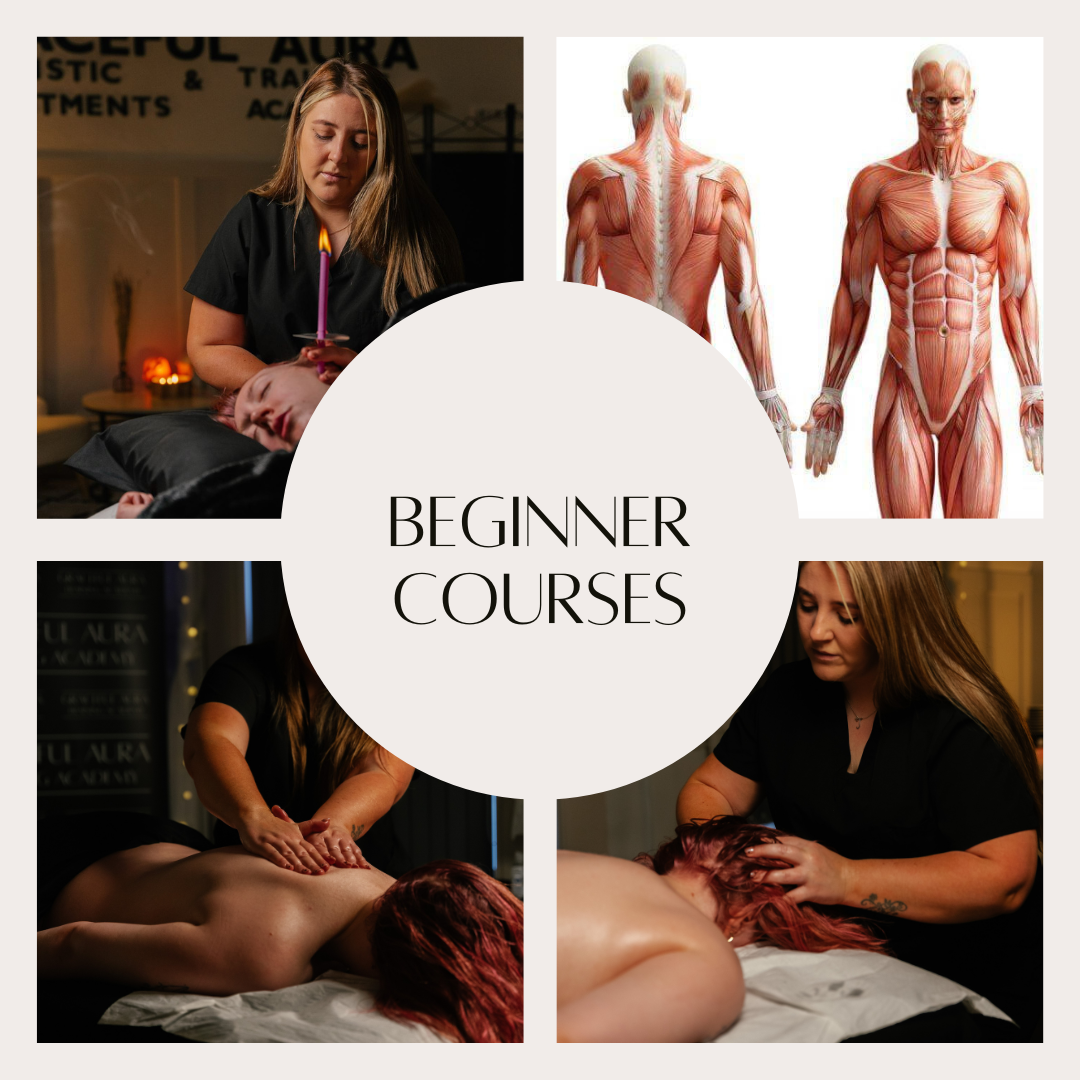 Beginner Courses